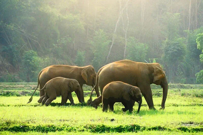Kerala Package